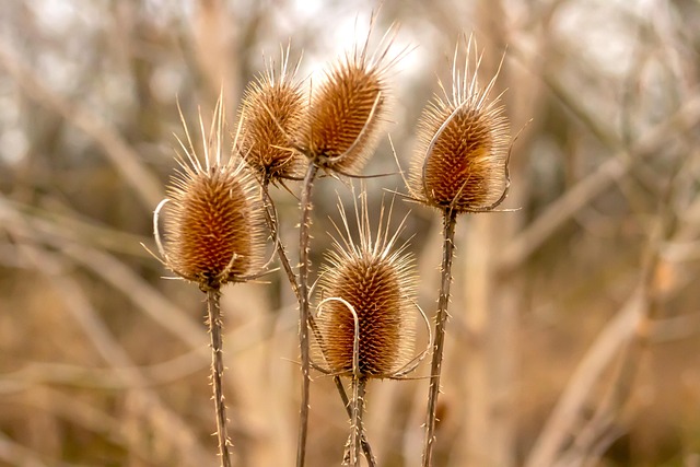 Når sygdom rammer: Dine rettigheder og pligter ved sygemelding hos carelink